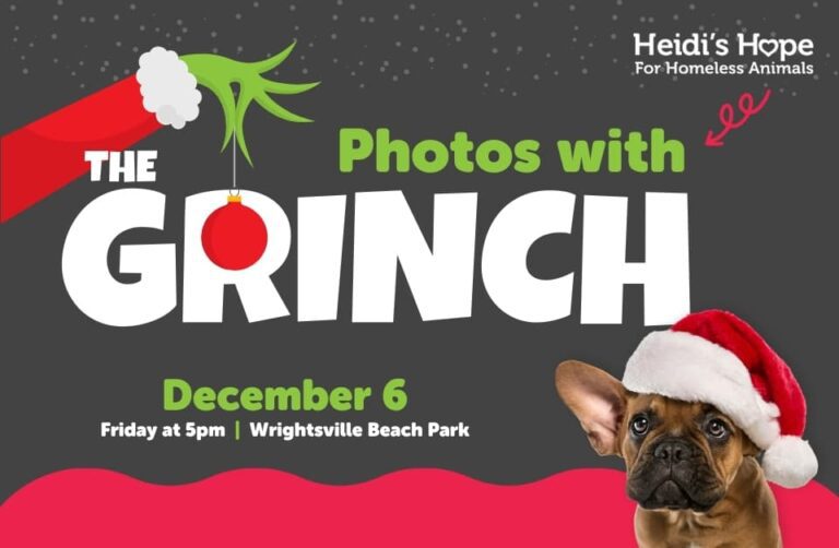 photos with the grinch heidis hope